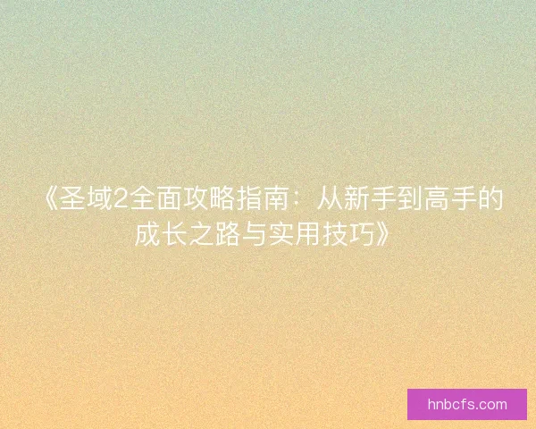 《圣域2全面攻略指南：从新手到高手的成长之路与实用技巧》