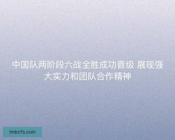 中国队两阶段六战全胜成功晋级 展现强大实力和团队合作精神